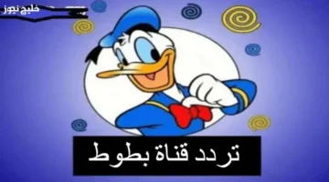 تردد قناة بطوط 2025 للأطفال بأفضل كرتون وأناشيد تعليمية على كل الأقمار